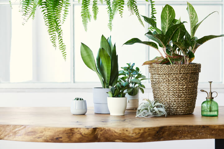 Sustainability in Business: Meaning, Examples, and Importance